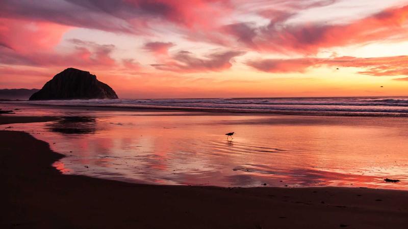 Immagine per Artemis II completa: capsula Orion ammarata con successo, missione storica conclusa