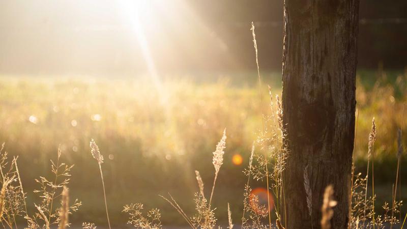 Immagine per Artemis II: navetta Orion in viaggio verso la Terra
