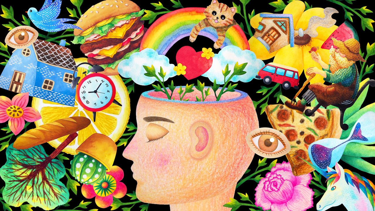 Oltre i cinque sensi tradizionali: la scienza ne conta fino a 33 e scopre il superpotere di percepire le onde di pressione