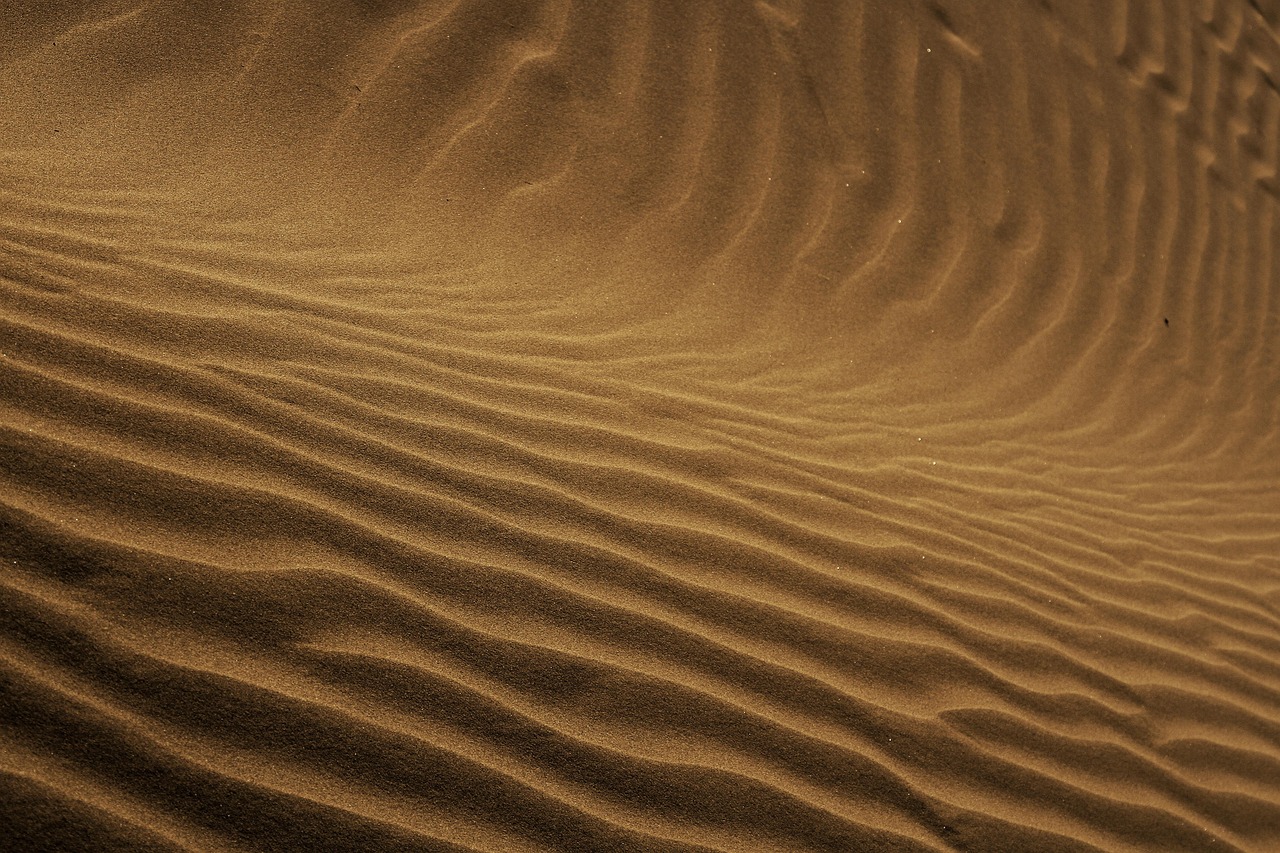 Immagine per Scambio Iran: liberata ostaggio americana Kittleson