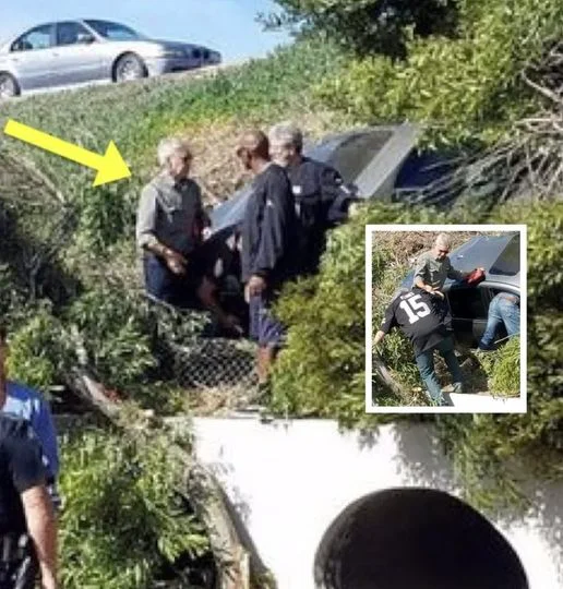 Legendary Hollywood Actor In Gray Shirt Rushes To Help Woman In Crashed Car