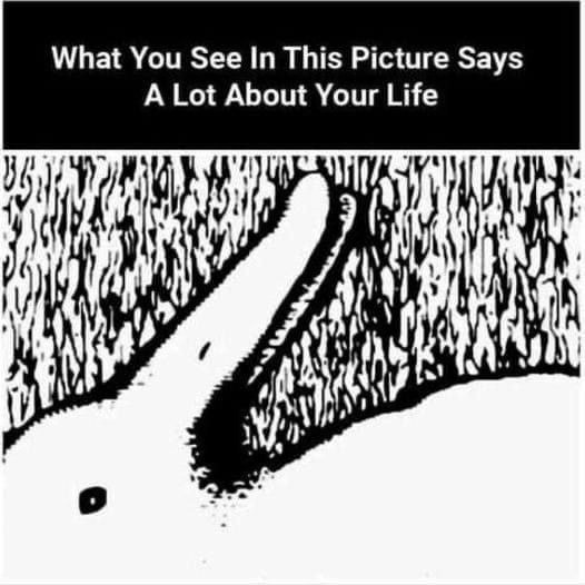 Optical Illusions: Unlocking the Mysteries of Perception