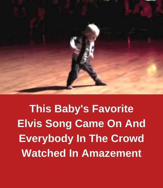 A Toddler’s Tribute to Elvis, Igniting the Dance Floor and Making the King Proud!