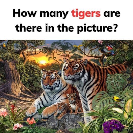 How Many Tigers Can You Spot In This Picture?